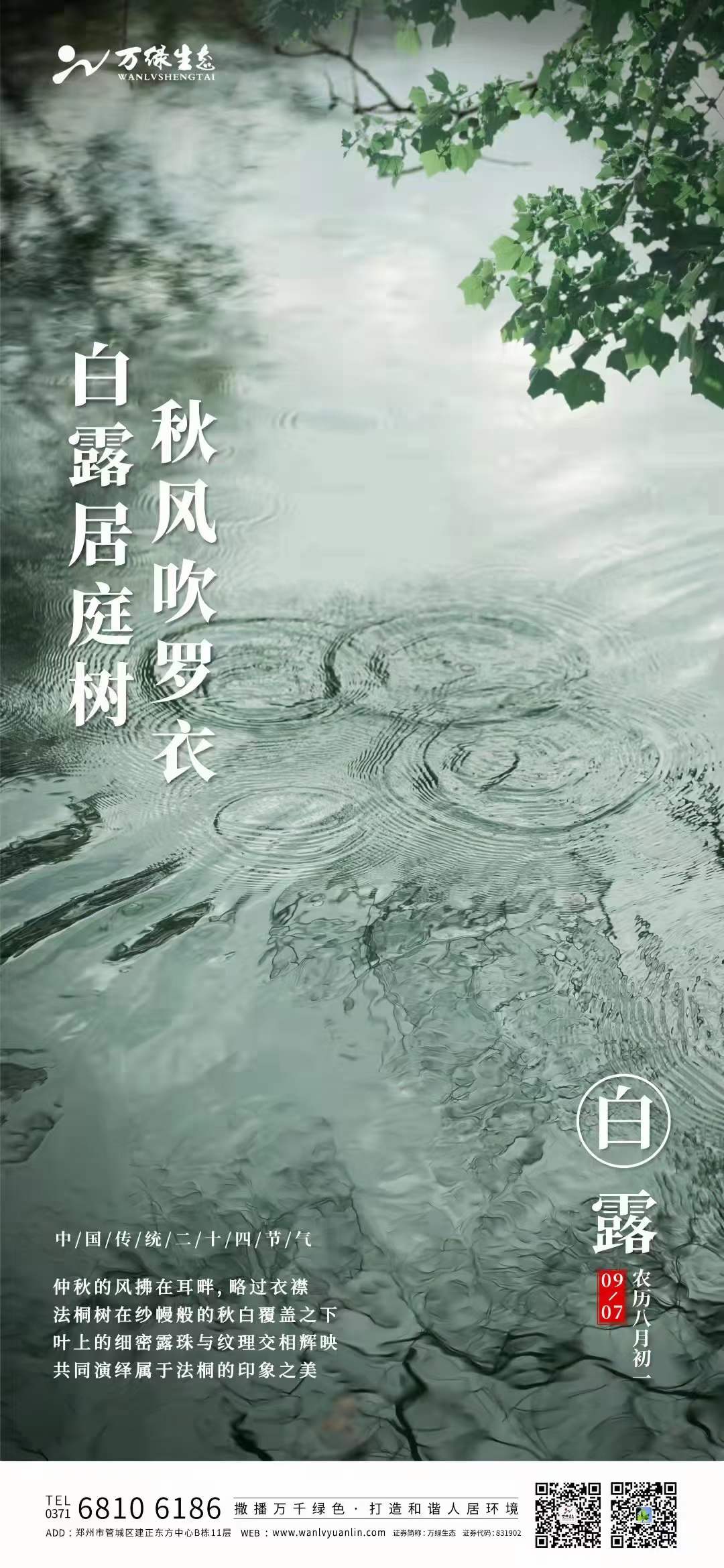 白露居庭树